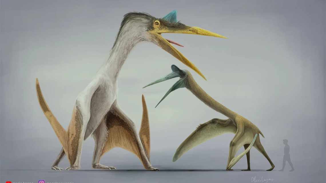 Найдавніший птерозавр був схожий на пелікана